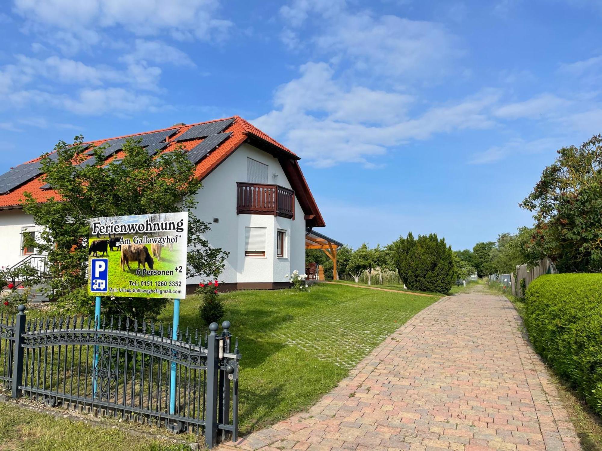 Am Gallowayhof Seehausen  Exterior foto